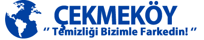 En İyi Çekmeköy Koltuk Yıkama Fabrikası